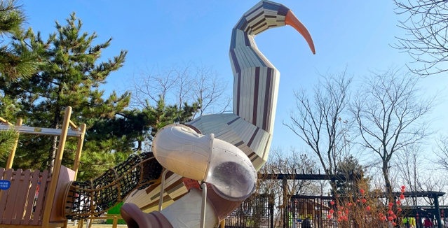 Fantasy Giant Bird Playground