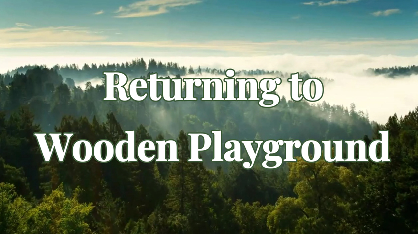 Choose Wooden Playground-introduction of Robinia Wood Material