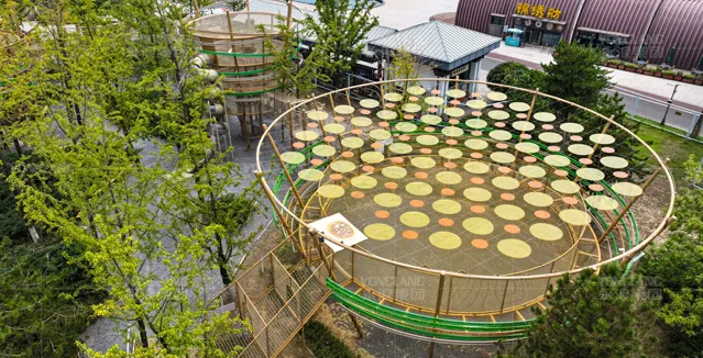 Animal Adventure Playland